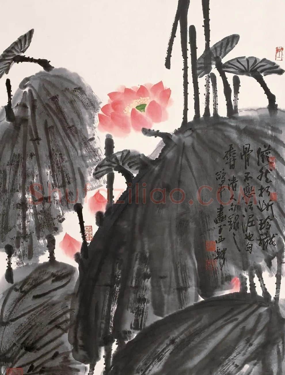 邢鸽平·荷花