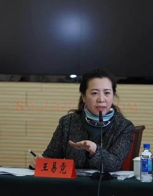 王易霓·王易霓