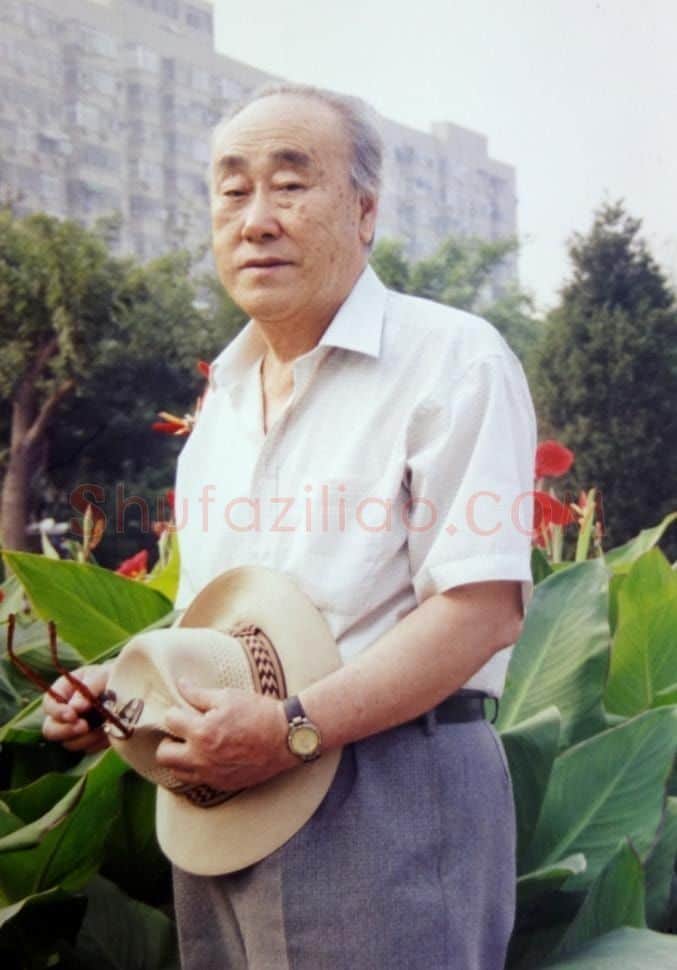 江平·画像·照片