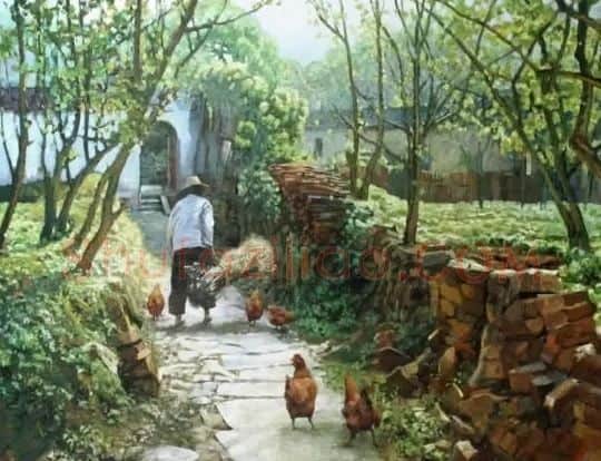 杨涤江·阳光后院