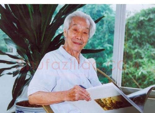 阳太阳·画像·照片