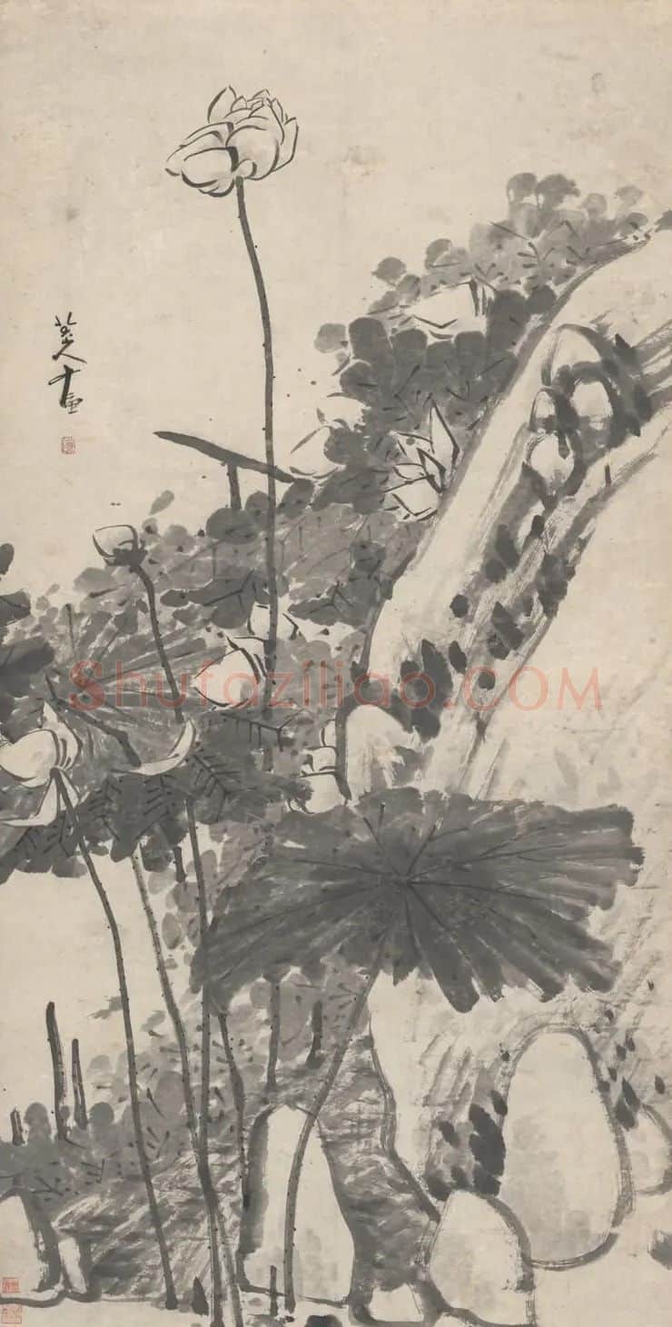 八大山人·墨荷图