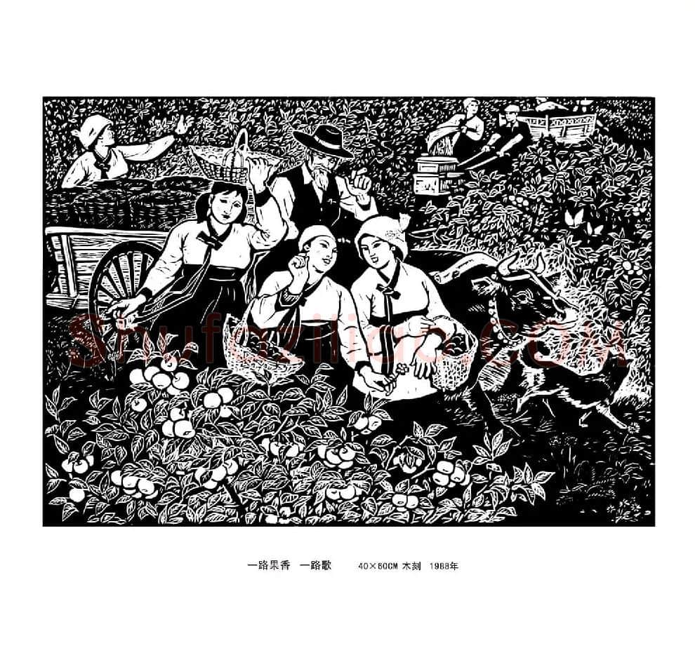 丁焕·一路果香一路歌