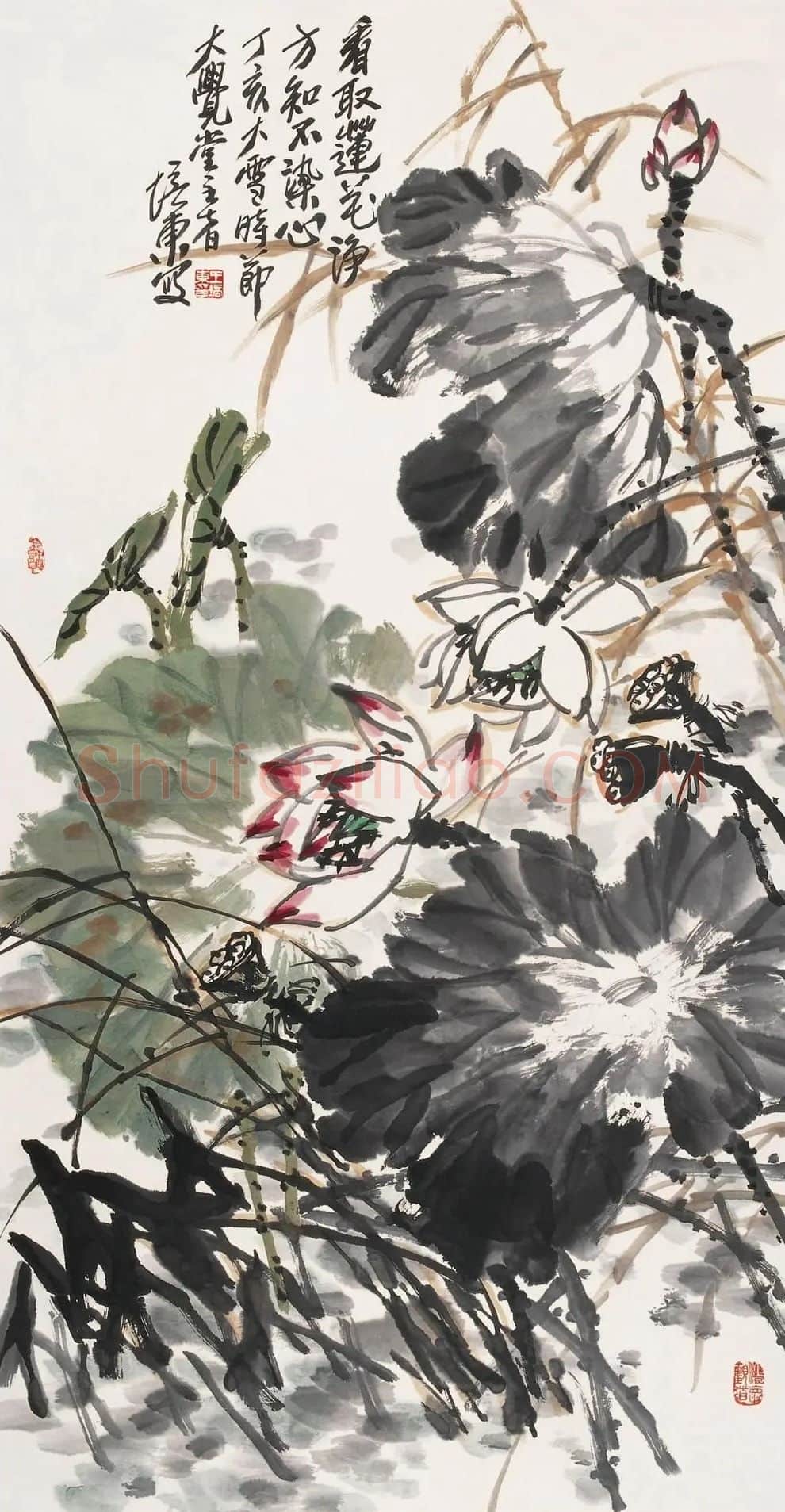 王培东·看取莲花净