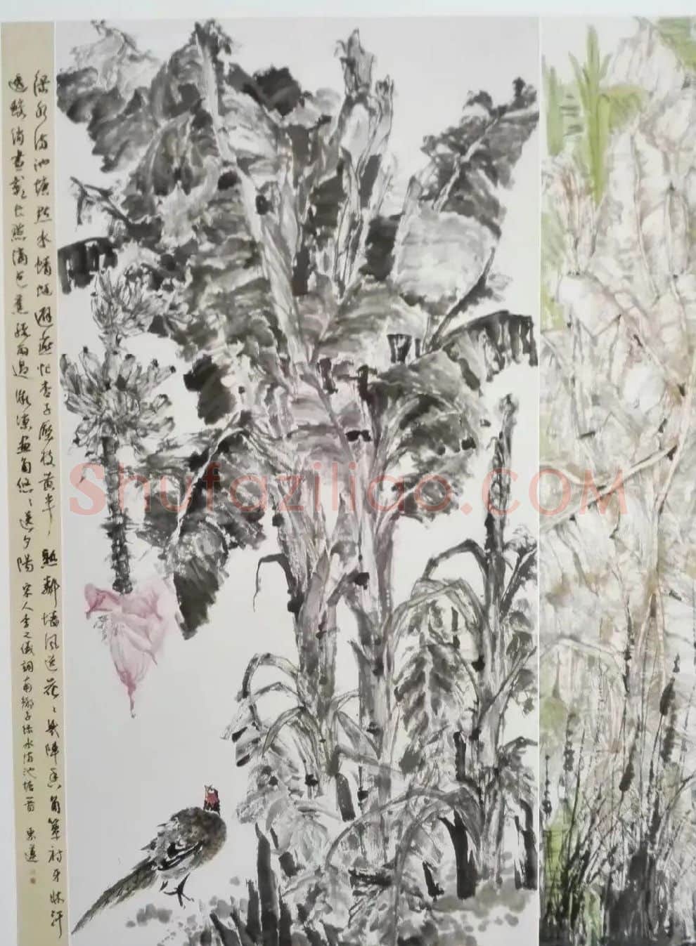段东莲·《蕉林听风》