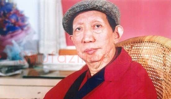 傅小石·画像·照片