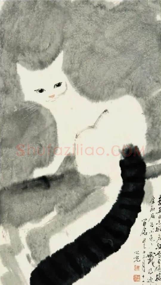 杨之光·爱猫
