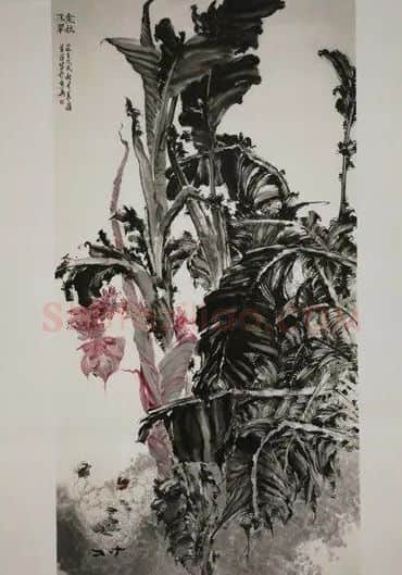 宋生罗·金秋流翠