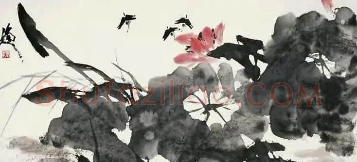 张立辰·荷花