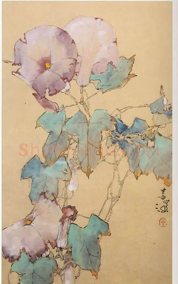 杨善深·牵牛花