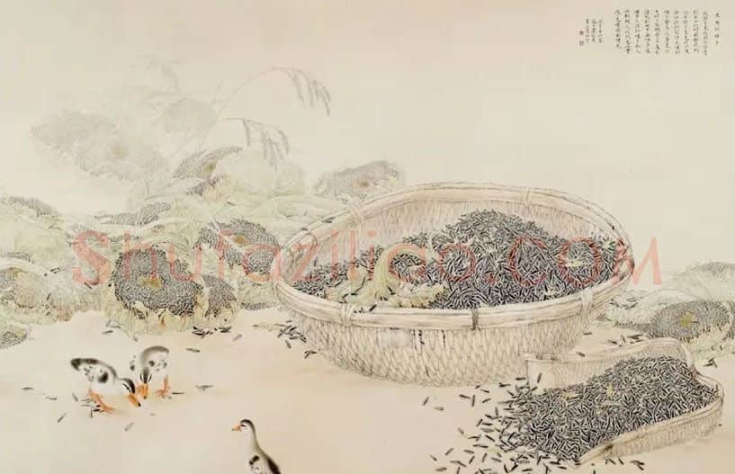 陈凤壬·一地阳光