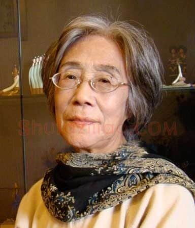 张淑敏·画像·照片