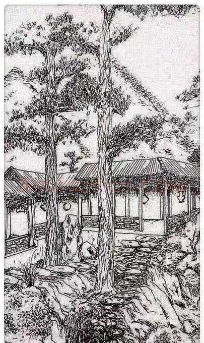 王曦晨·作品