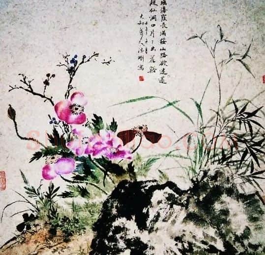 张德刚·瑶海仙姿