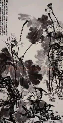 张晓东·墨华旦旦