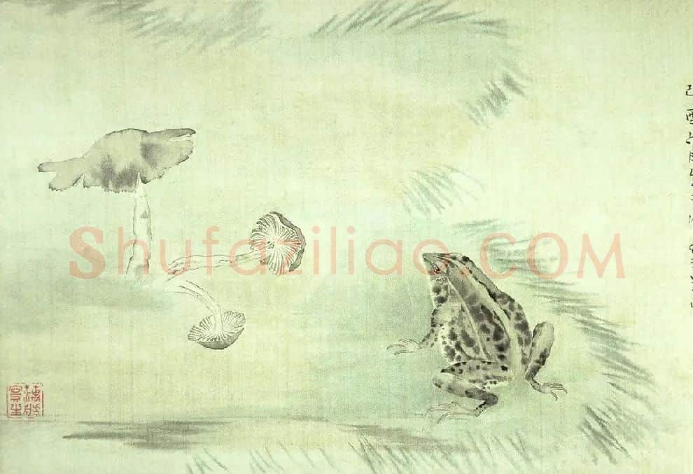 范金镛·《青蛙蘑菇》