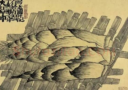 老圃·菜园子系列