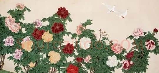 于非闇·牡丹双鸽图