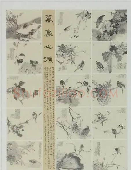 秦英豪·万象心源