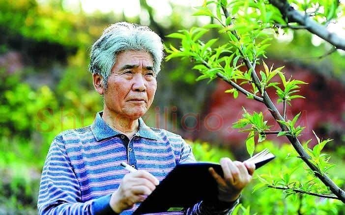 王征·画像·照片