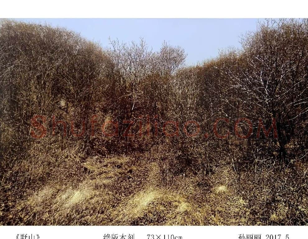 孙丽丽·《野山》