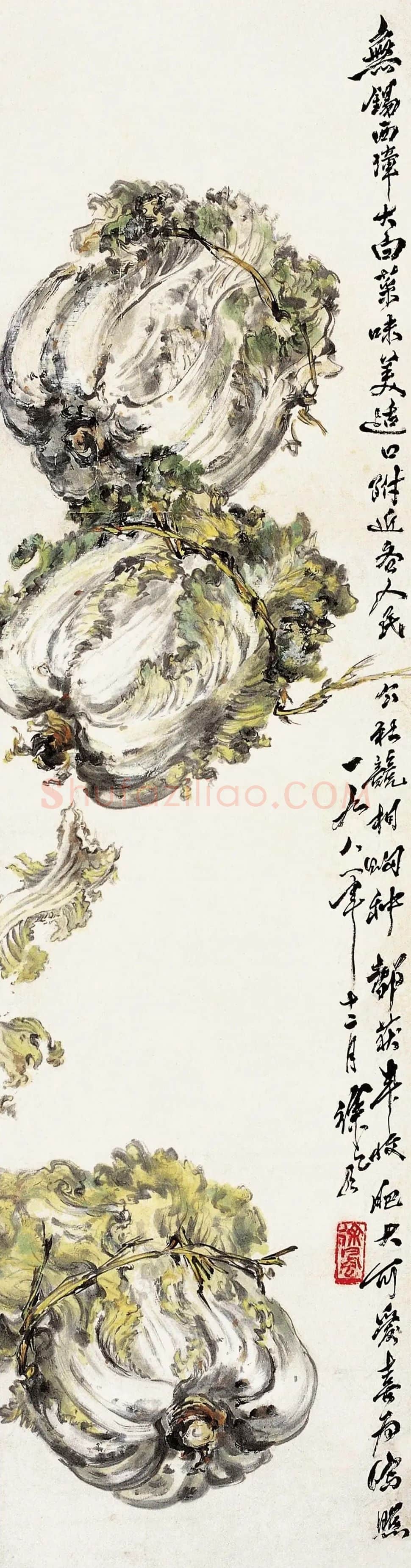 徐风·大白菜