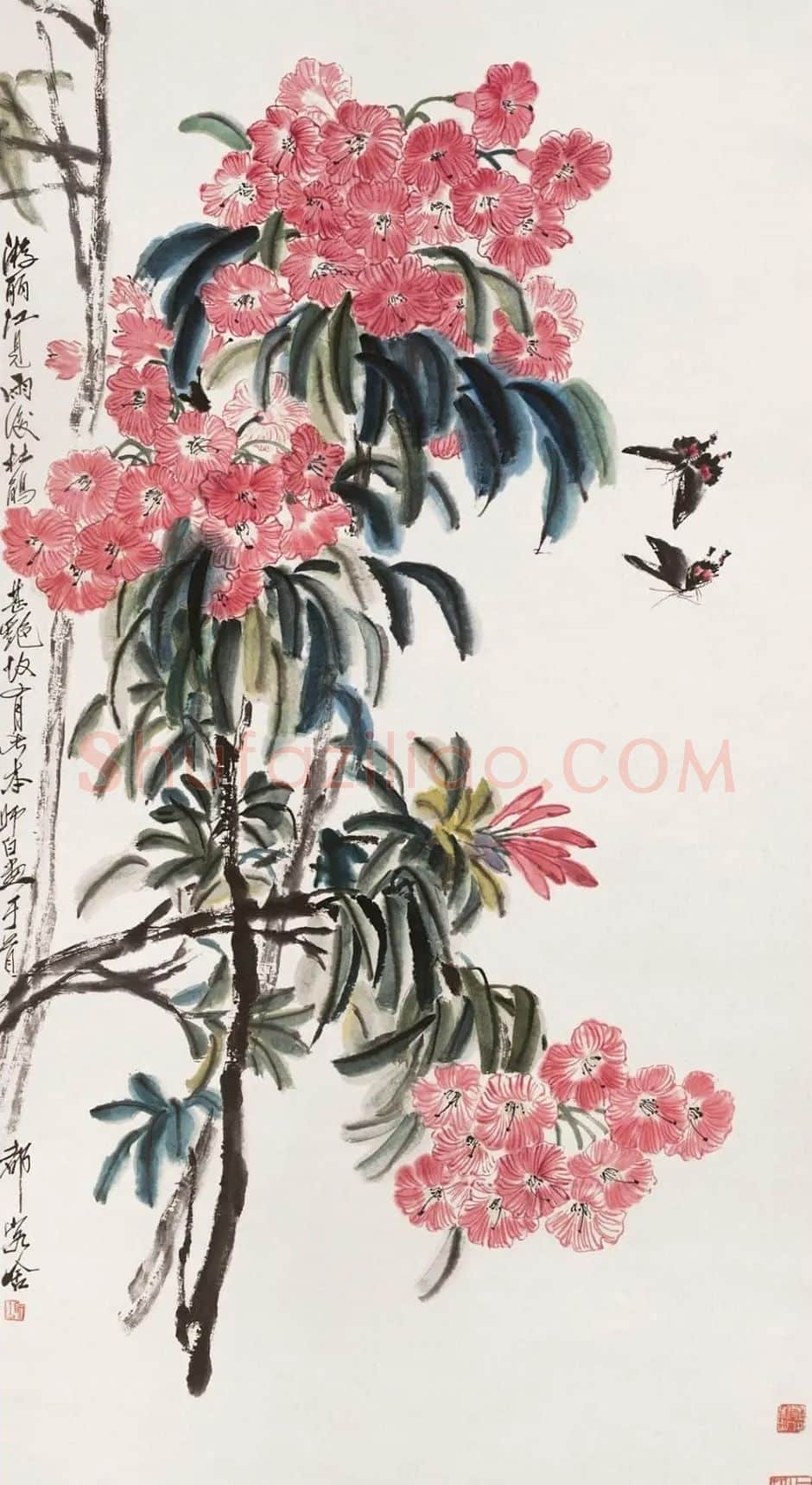 娄师白·作品