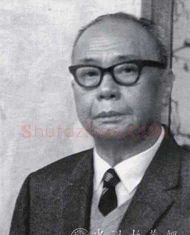 丁衍庸·画像·照片