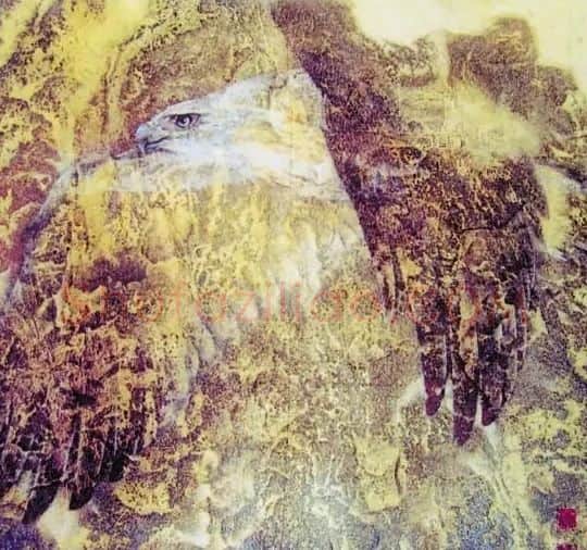 毛水仙·大鹏