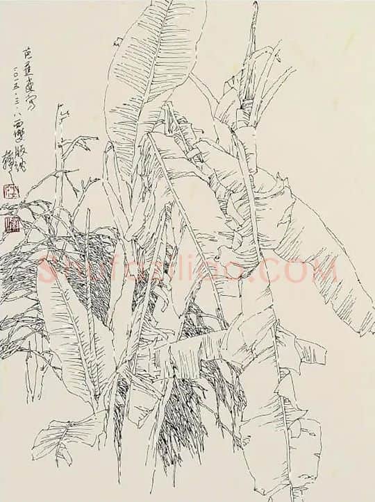 娄建国·写生作品