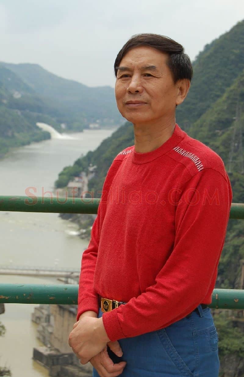马保林·画像·照片