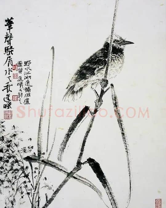 胡进曦·墨花墨禽之一
