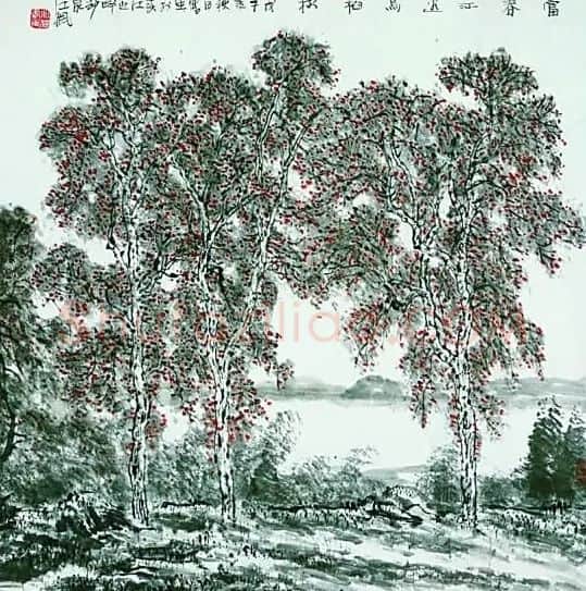 江枫· 富春江乌桕树