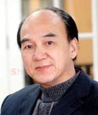 王和平·画像·照片