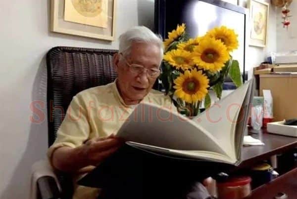 叶飞·画像·照片