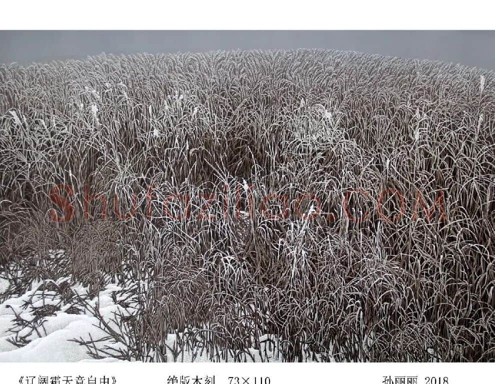 孙丽丽·《辽阔霜天竟自由》