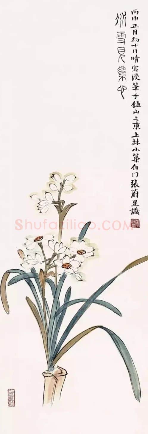 张蔚星·作品