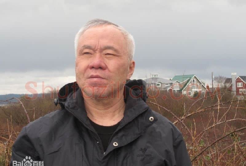 杨刚·画像·照片