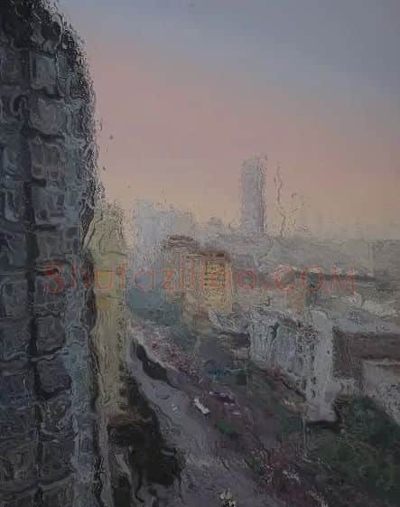 苏晓旺·《内·外—观》