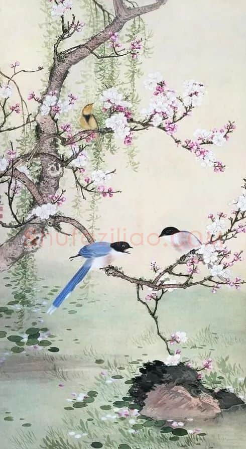 田世光·杏柳山鹊