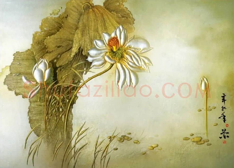 张淑兰·荷语
