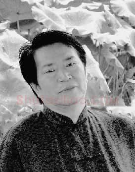 杨阳·画像·照片