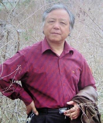 于文德·画像·照片
