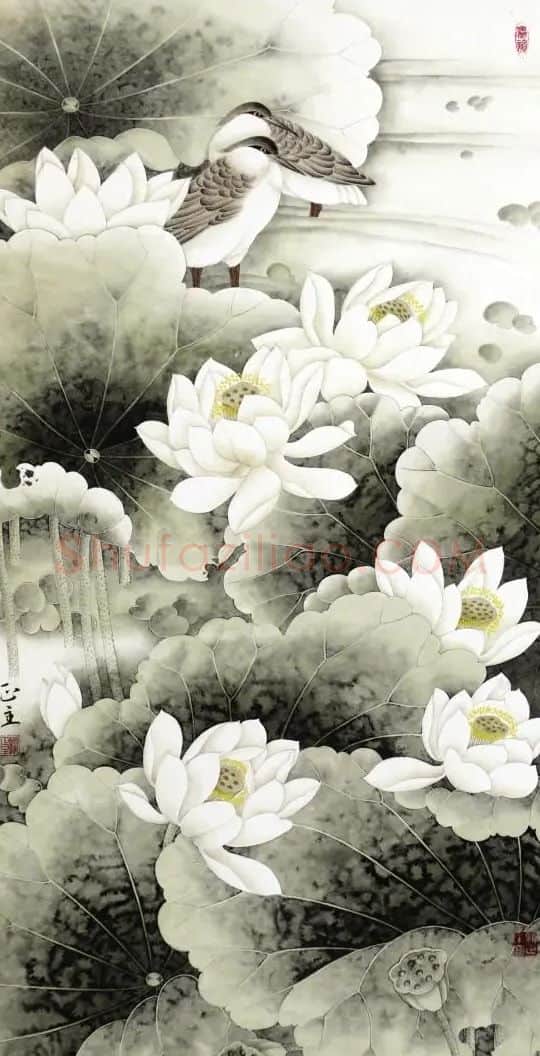 顾正主·心连心