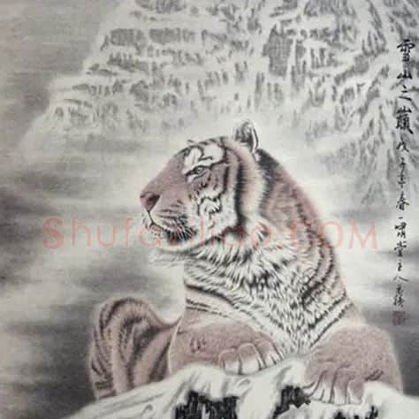 陈元强·雪山之巓