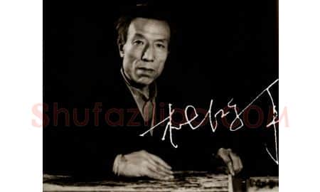 杜鸿年·画像·照片