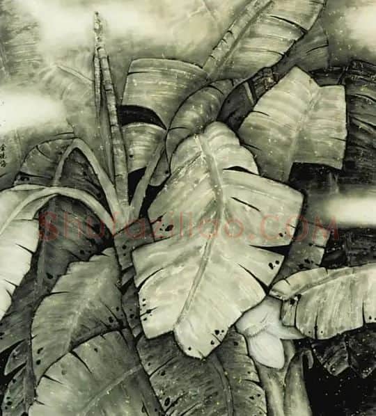 金晓海·芭蕉