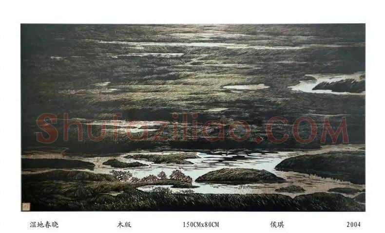 侯琪·作品