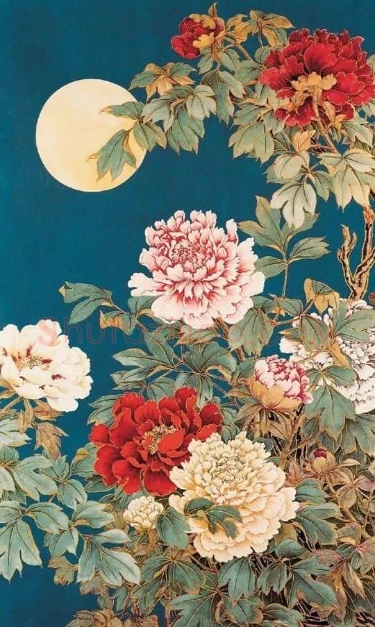 陆抑非·花好月圆