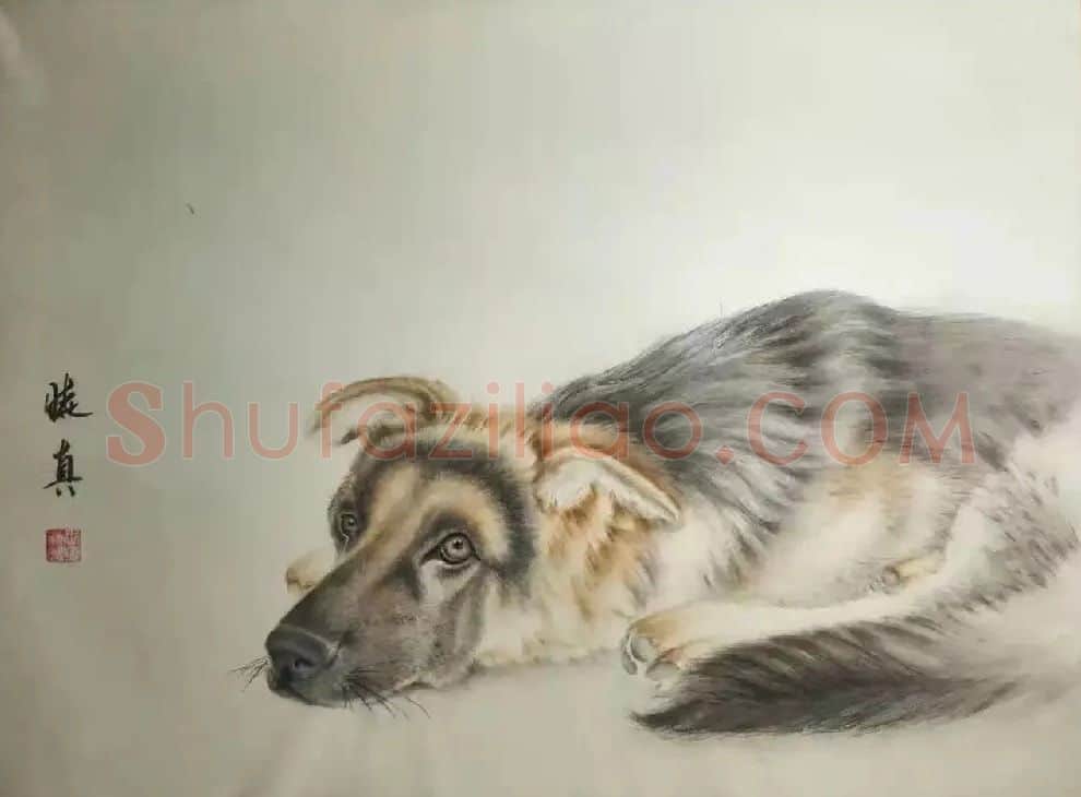 王晓真·53X38